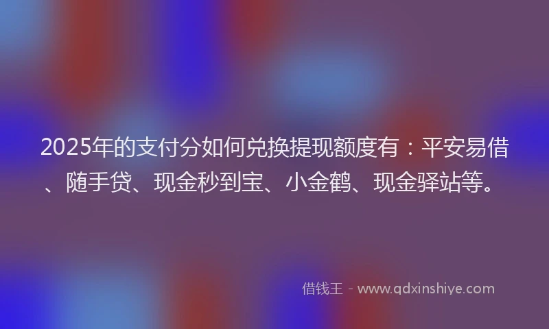 2025年的支付分如何兑换提现额度有：平安易借、随手贷、现金秒到宝、小金鹤、现金驿站等。