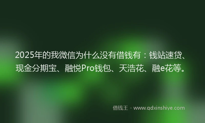 2025年的我微信为什么没有借钱有：钱站速贷、现金分期宝、融悦Pro钱包、天浩花、融e花等。