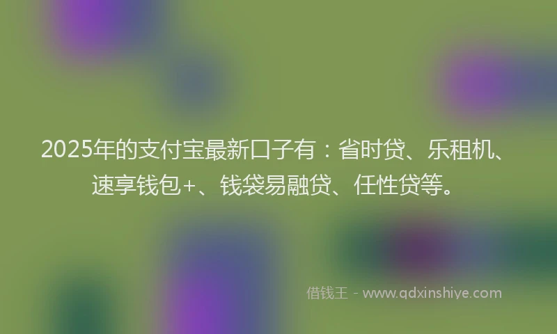 2025年的支付宝最新口子有：省时贷、乐租机、速享钱包+、钱袋易融贷、任性贷等。