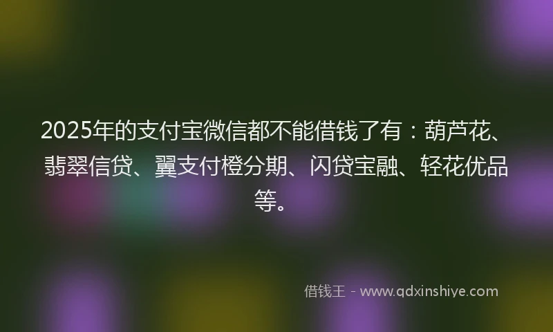 2025年的支付宝微信都不能借钱了有：葫芦花、翡翠信贷、翼支付橙分期、闪贷宝融、轻花优品等。