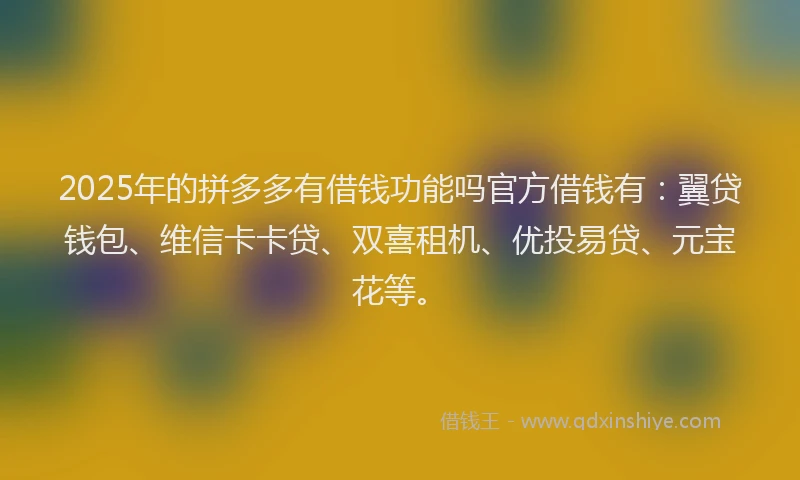 2025年的拼多多有借钱功能吗官方借钱有：翼贷钱包、维信卡卡贷、双喜租机、优投易贷、元宝花等。
