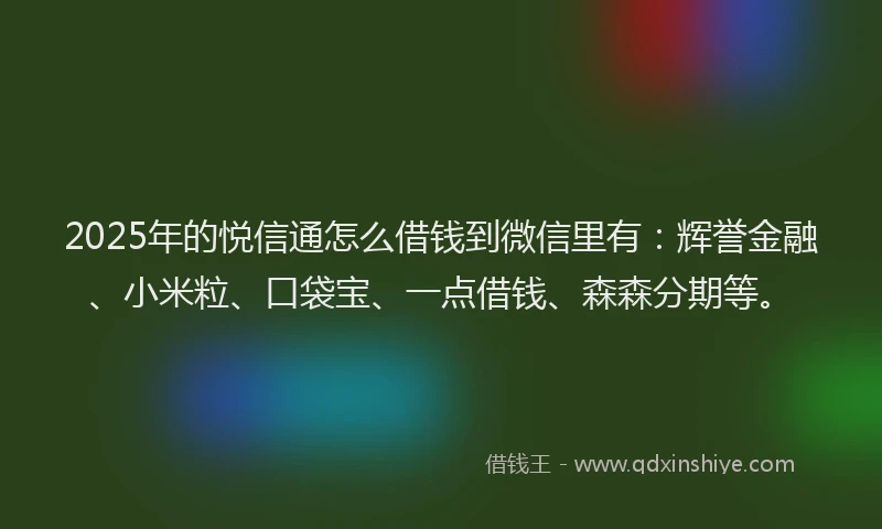 2025年的悦信通怎么借钱到微信里有：辉誉金融、小米粒、口袋宝、一点借钱、森森分期等。