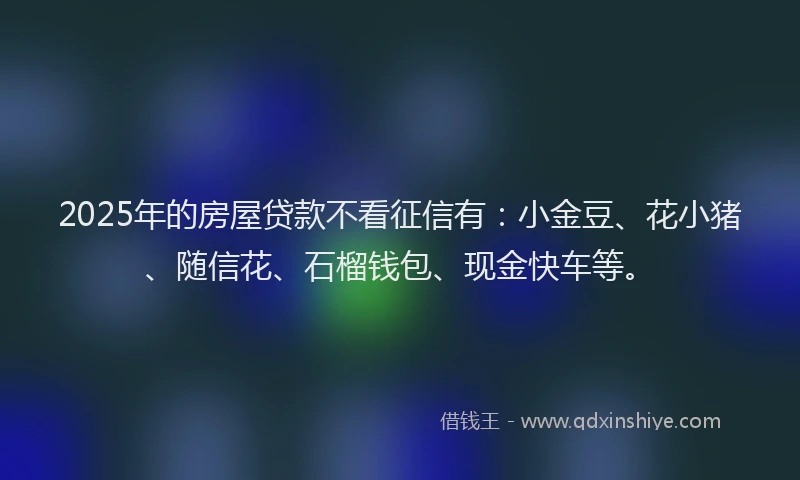2025年的房屋贷款不看征信有：小金豆、花小猪、随信花、石榴钱包、现金快车等。