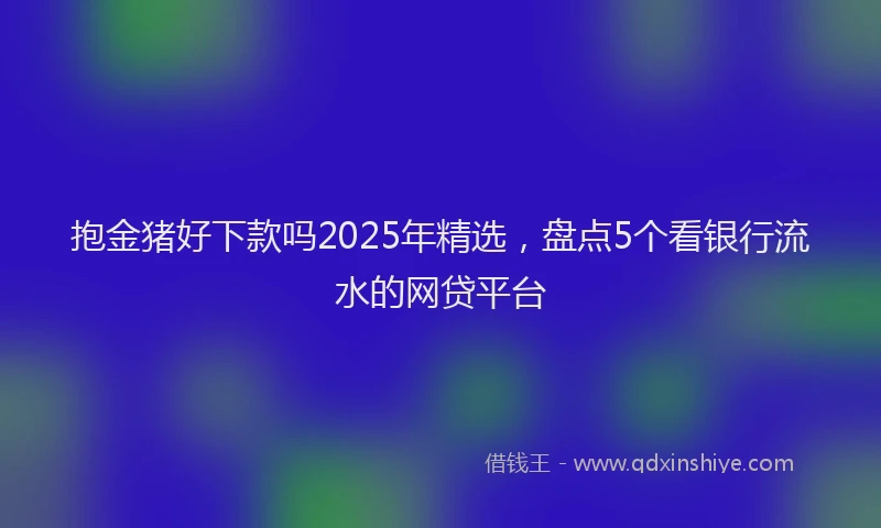 抱金猪好下款吗2025年精选，盘点5个看银行流水的网贷平台