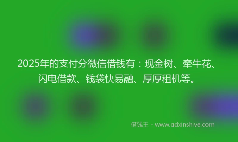 2025年的支付分微信借钱有：现金树、牵牛花、闪电借款、钱袋快易融、厚厚租机等。