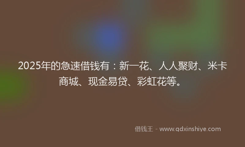 2025年的急速借钱有：新一花、人人聚财、米卡商城、现金易贷、彩虹花等。