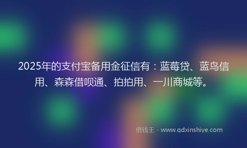 2025年的支付宝备用金征信有：蓝莓贷、蓝鸟信用、森森借呗通、拍拍用、一川商城等。