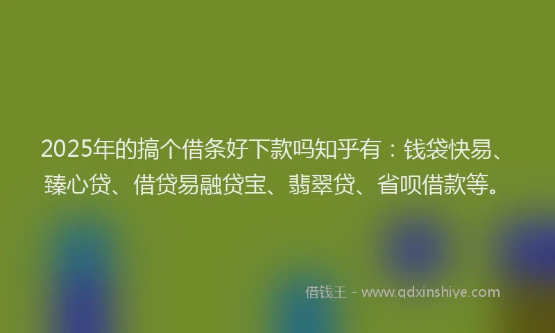 2025年的搞个借条好下款吗知乎有：钱袋快易、臻心贷、借贷易融贷宝、翡翠贷、省呗借款等。