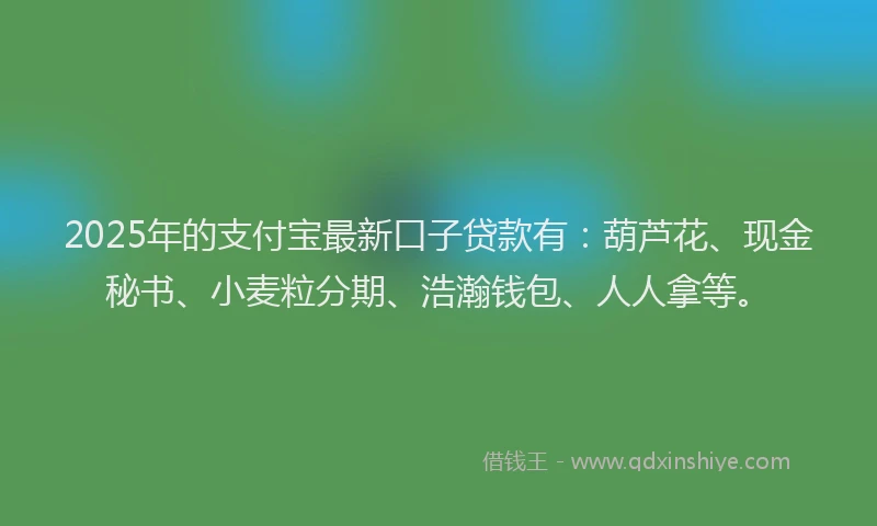 2025年的支付宝最新口子贷款有：葫芦花、现金秘书、小麦粒分期、浩瀚钱包、人人拿等。