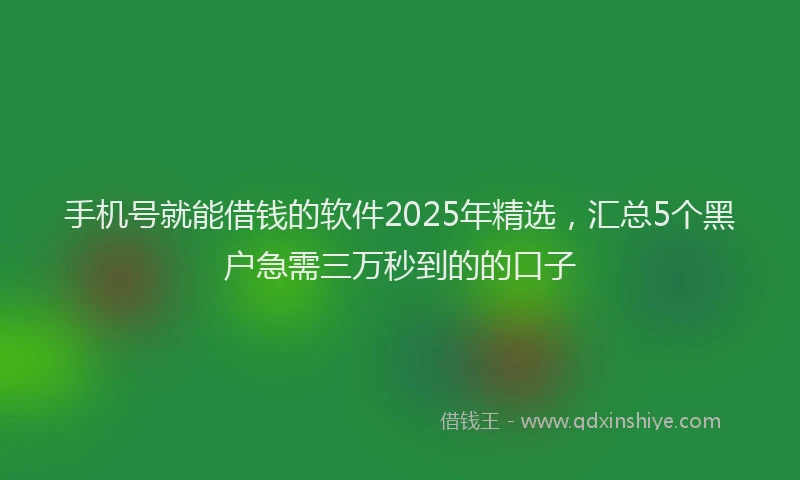 手机号就能借钱的软件2025年精选，汇总5个黑户急需三万秒到的的口子