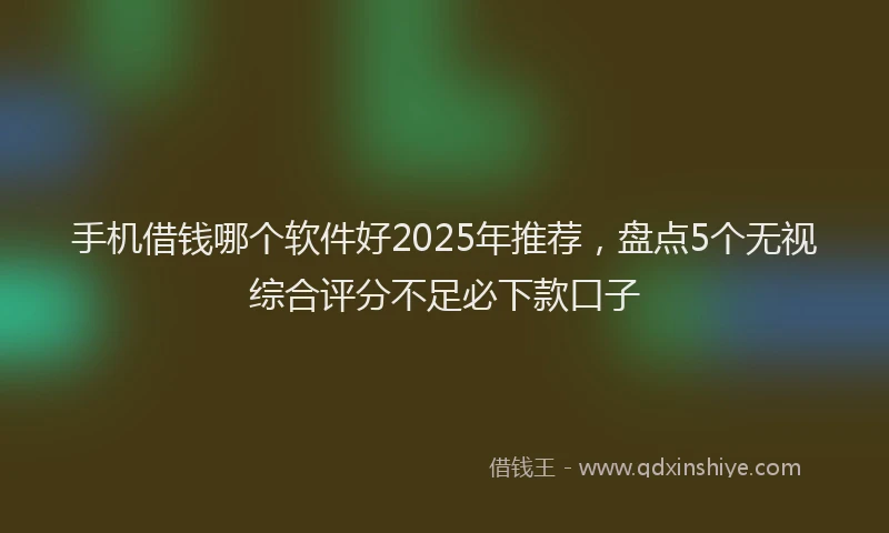 手机借钱哪个软件好2025年推荐，盘点5个无视综合评分不足必下款口子
