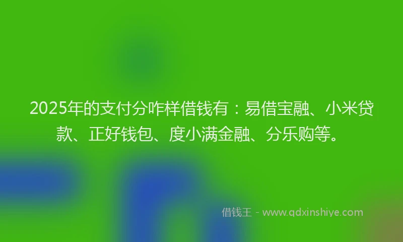 2025年的支付分咋样借钱有：易借宝融、小米贷款、正好钱包、度小满金融、分乐购等。