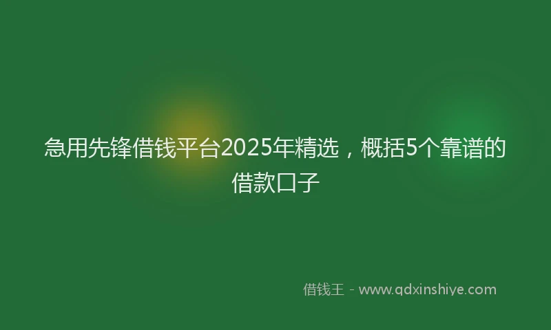 急用先锋借钱平台2025年精选，概括5个靠谱的借款口子