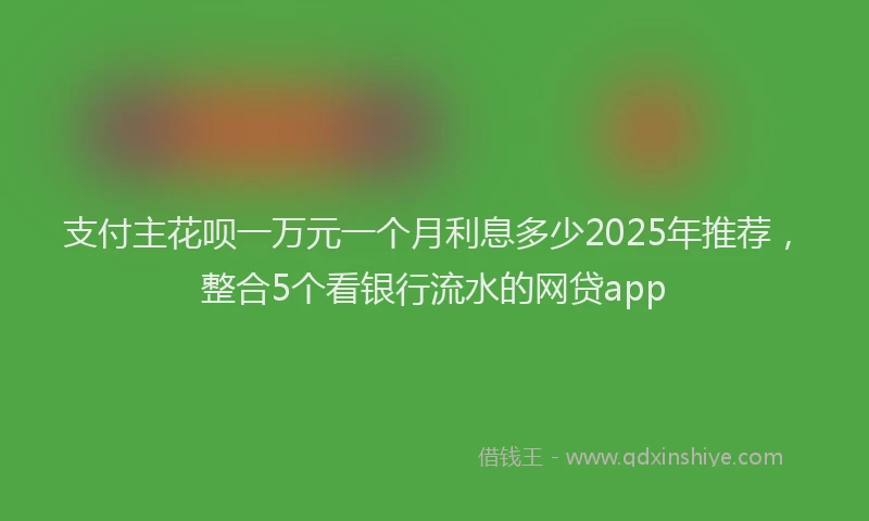 支付主花呗一万元一个月利息多少2025年推荐，整合5个看银行流水的网贷app