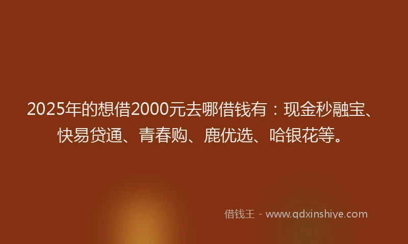 2025年的想借2000元去哪借钱有：现金秒融宝、快易贷通、青春购、鹿优选、哈银花等。