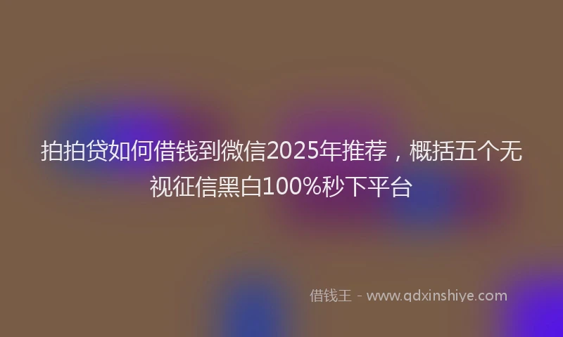 拍拍贷如何借钱到微信2025年推荐，概括五个无视征信黑白100%秒下平台