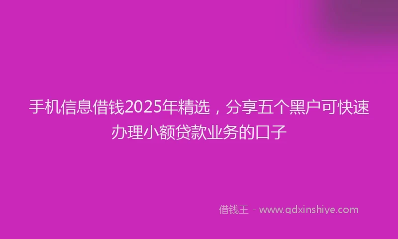 手机信息借钱2025年精选，分享五个黑户可快速办理小额贷款业务的口子