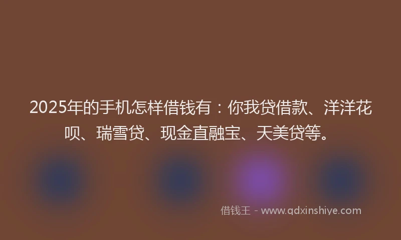 2025年的手机怎样借钱有：你我贷借款、洋洋花呗、瑞雪贷、现金直融宝、天美贷等。