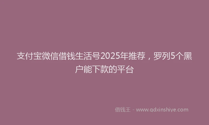 支付宝微信借钱生活号2025年推荐，罗列5个黑户能下款的平台
