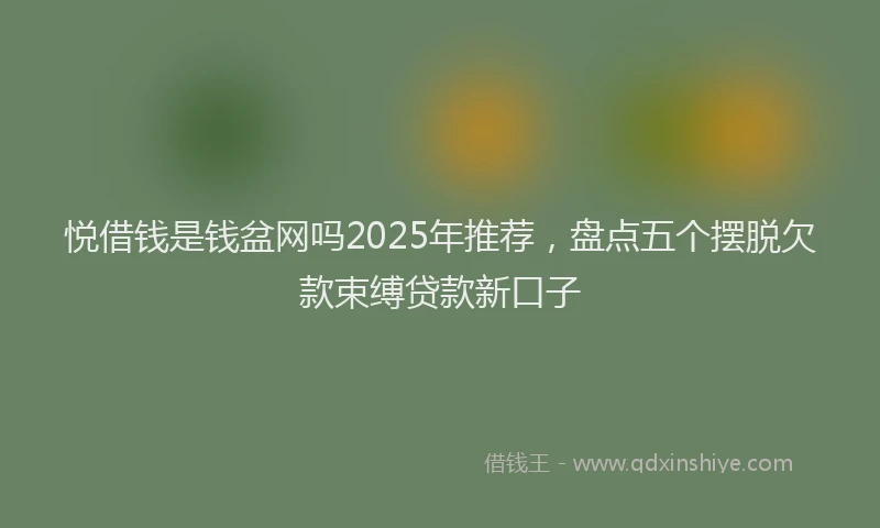 悦借钱是钱盆网吗2025年推荐，盘点五个摆脱欠款束缚贷款新口子