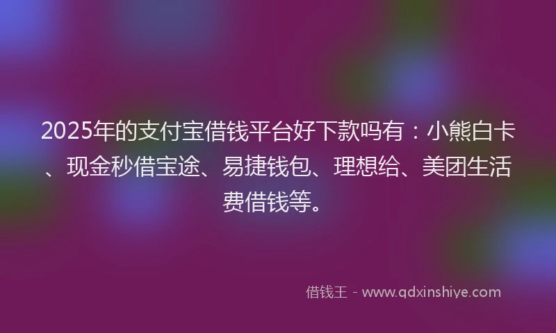 2025年的支付宝借钱平台好下款吗有：小熊白卡、现金秒借宝途、易捷钱包、理想给、美团生活费借钱等。