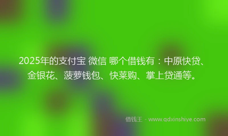 2025年的支付宝 微信 哪个借钱有：中原快贷、金银花、菠萝钱包、快莱购、掌上贷通等。