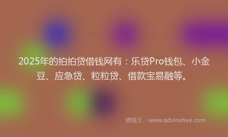 2025年的拍拍贷借钱网有：乐贷Pro钱包、小金豆、应急贷、粒粒贷、借款宝易融等。