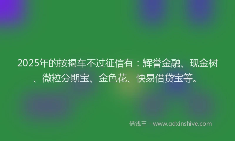 2025年的按揭车不过征信有：辉誉金融、现金树、微粒分期宝、金色花、快易借贷宝等。