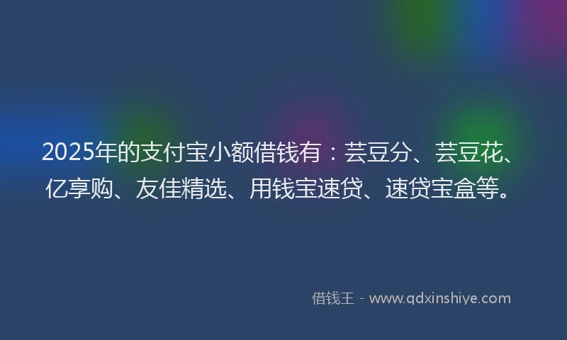 2025年的支付宝小额借钱有：芸豆分、芸豆花、亿享购、友佳精选、用钱宝速贷、速贷宝盒等。
