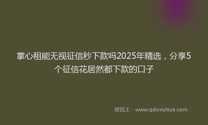 掌心租能无视征信秒下款吗2025年精选，分享5个征信花居然都下款的口子