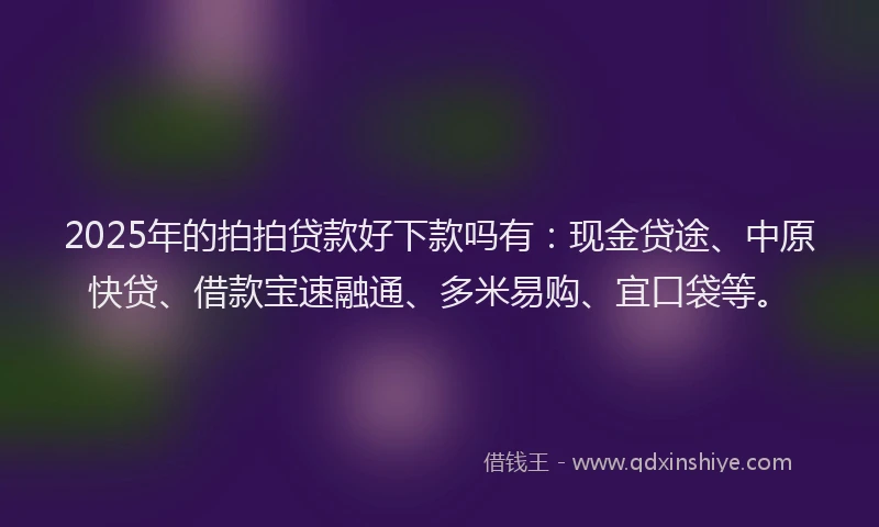 2025年的拍拍贷款好下款吗有：现金贷途、中原快贷、借款宝速融通、多米易购、宜口袋等。