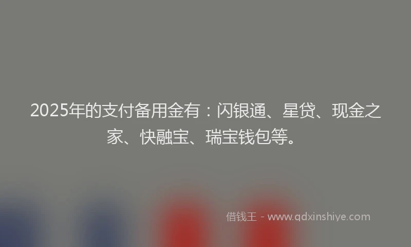 2025年的支付备用金有：闪银通、星贷、现金之家、快融宝、瑞宝钱包等。