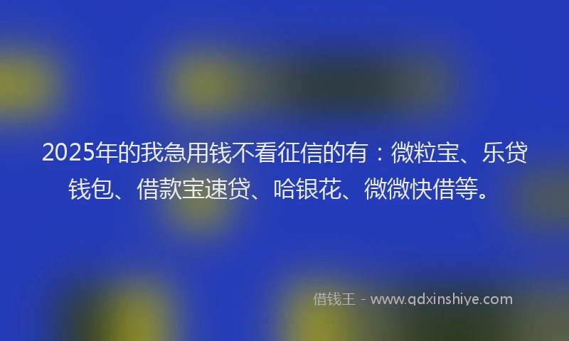 2025年的我急用钱不看征信的有：微粒宝、乐贷钱包、借款宝速贷、哈银花、微微快借等。