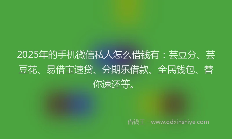 2025年的手机微信私人怎么借钱有：芸豆分、芸豆花、易借宝速贷、分期乐借款、全民钱包、替你速还等。