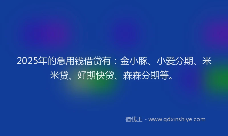 2025年的急用钱借贷有：金小豚、小爱分期、米米贷、好期快贷、森森分期等。