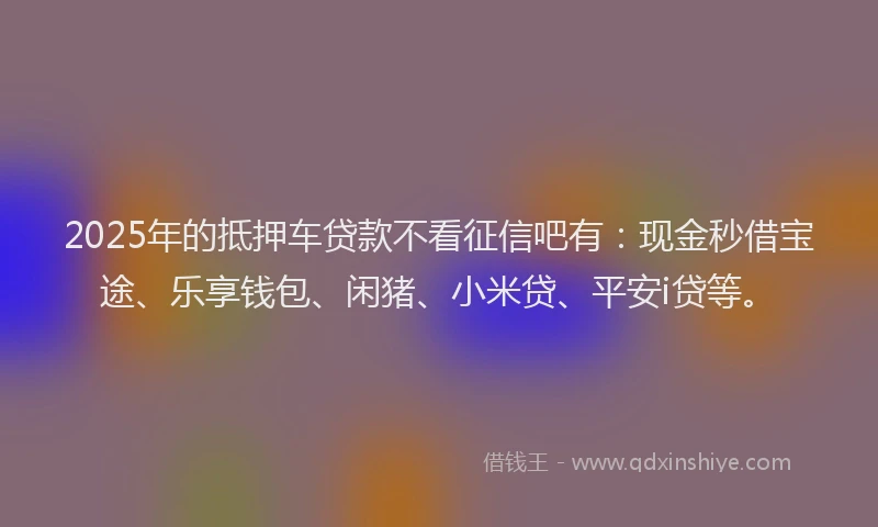 2025年的抵押车贷款不看征信吧有：现金秒借宝途、乐享钱包、闲猪、小米贷、平安i贷等。