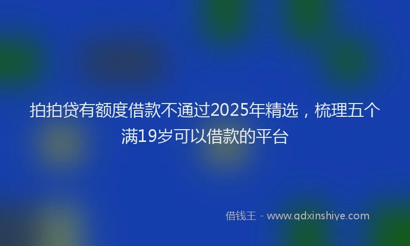 拍拍贷有额度借款不通过2025年精选，梳理五个满19岁可以借款的平台