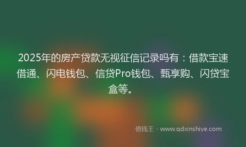 2025年的房产贷款无视征信记录吗有：借款宝速借通、闪电钱包、信贷Pro钱包、甄享购、闪贷宝盒等。