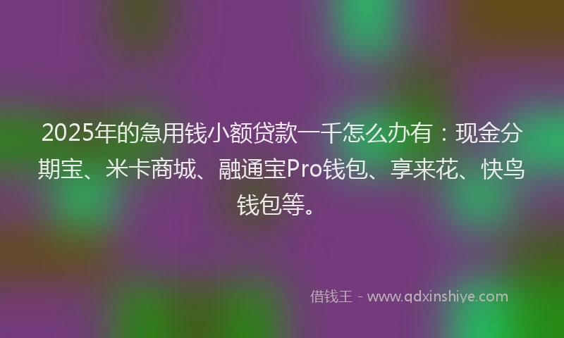 2025年的急用钱小额贷款一千怎么办有：现金分期宝、米卡商城、融通宝Pro钱包、享来花、快鸟钱包等。