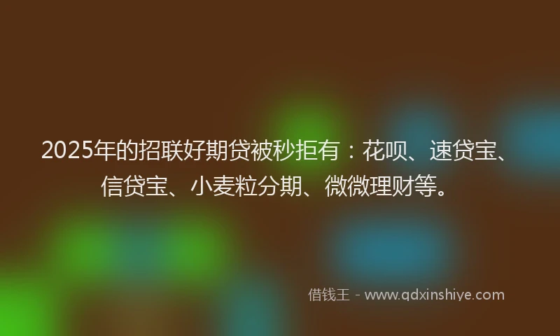 2025年的招联好期贷被秒拒有：花呗、速贷宝、信贷宝、小麦粒分期、微微理财等。