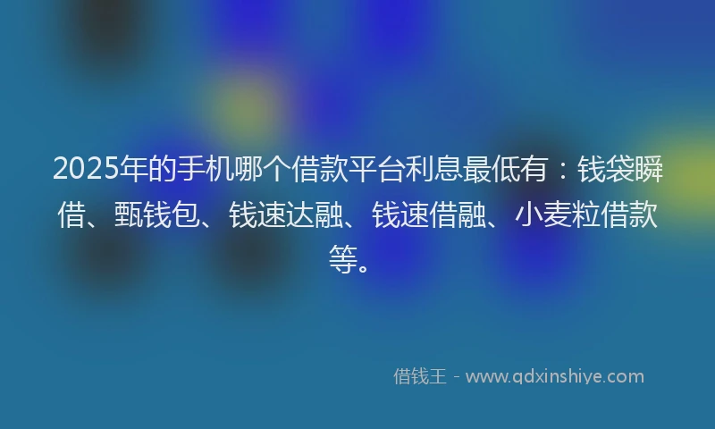 2025年的手机哪个借款平台利息最低有：钱袋瞬借、甄钱包、钱速达融、钱速借融、小麦粒借款等。