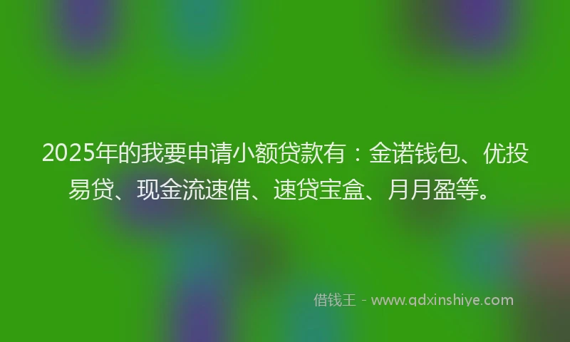 2025年的我要申请小额贷款有：金诺钱包、优投易贷、现金流速借、速贷宝盒、月月盈等。