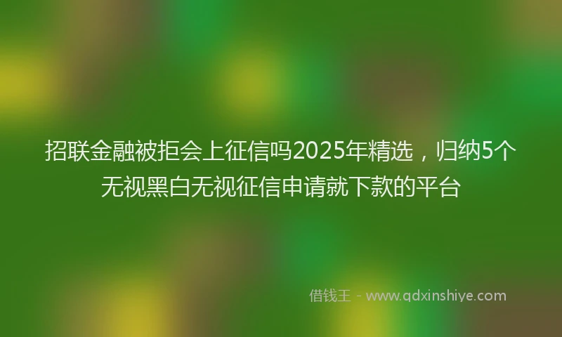 招联金融被拒会上征信吗2025年精选，归纳5个无视黑白无视征信申请就下款的平台