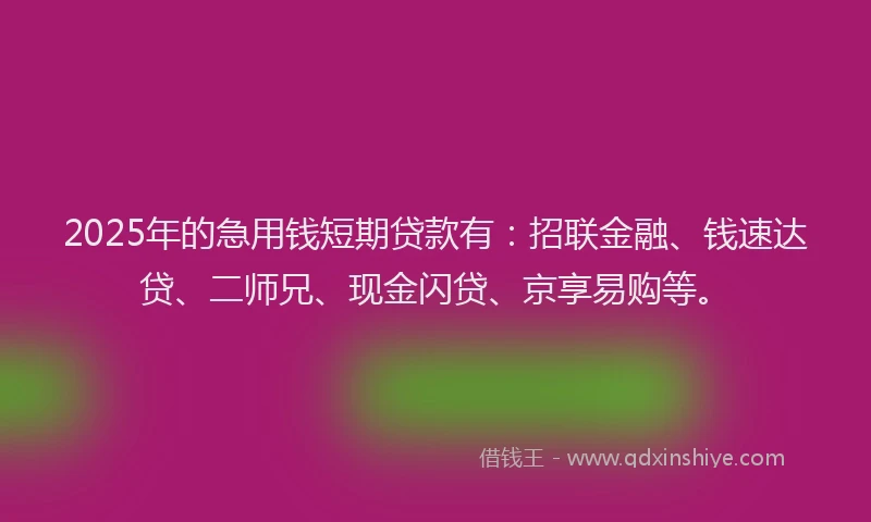 2025年的急用钱短期贷款有：招联金融、钱速达贷、二师兄、现金闪贷、京享易购等。