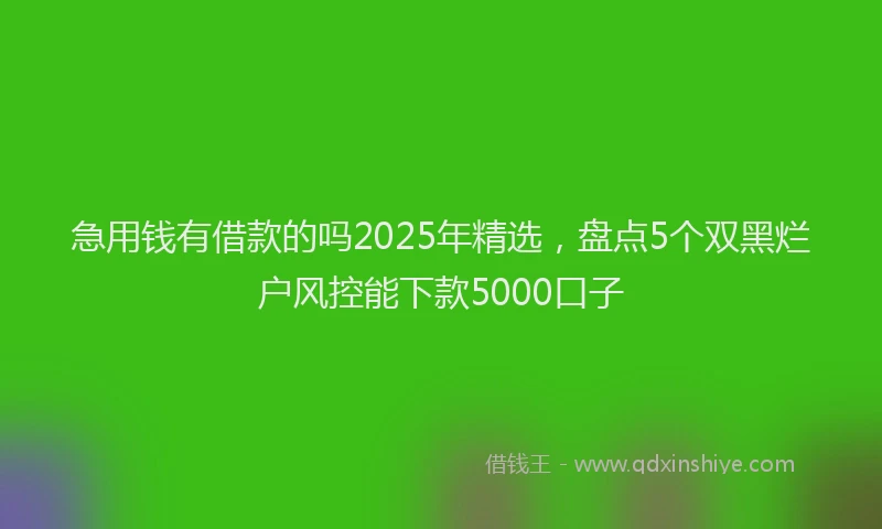 急用钱有借款的吗2025年精选，盘点5个双黑烂户风控能下款5000口子