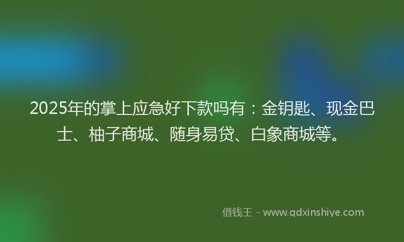 2025年的掌上应急好下款吗有：金钥匙、现金巴士、柚子商城、随身易贷、白象商城等。