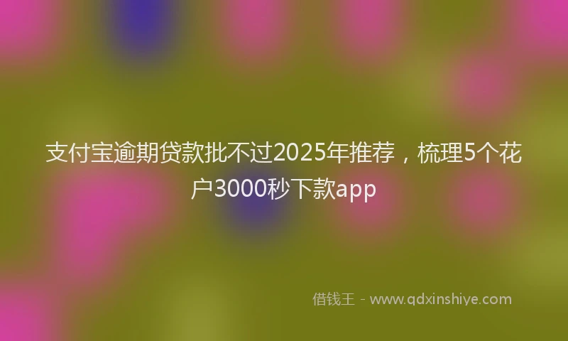 支付宝逾期贷款批不过2025年推荐，梳理5个花户3000秒下款app