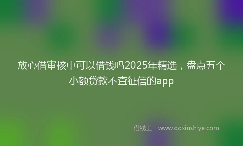 放心借审核中可以借钱吗2025年精选，盘点五个小额贷款不查征信的app