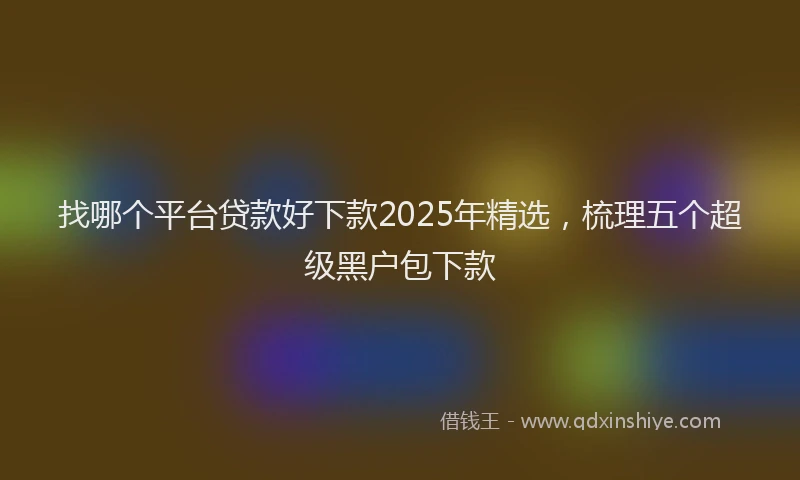 找哪个平台贷款好下款2025年精选，梳理五个超级黑户包下款