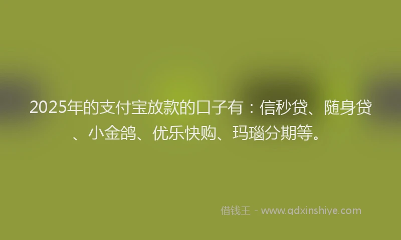 2025年的支付宝放款的口子有：信秒贷、随身贷、小金鸽、优乐快购、玛瑙分期等。
